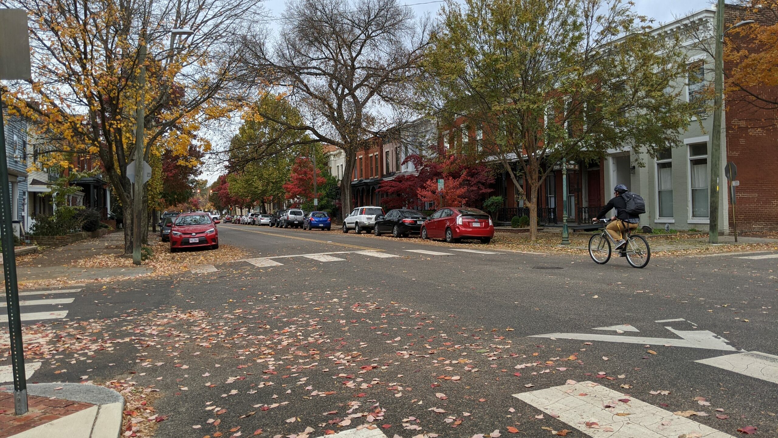 Cyclist riding in neighborhood in bike lanes where the road is shared among vehicles, pedestrians, cyclists and other modes of transportation.