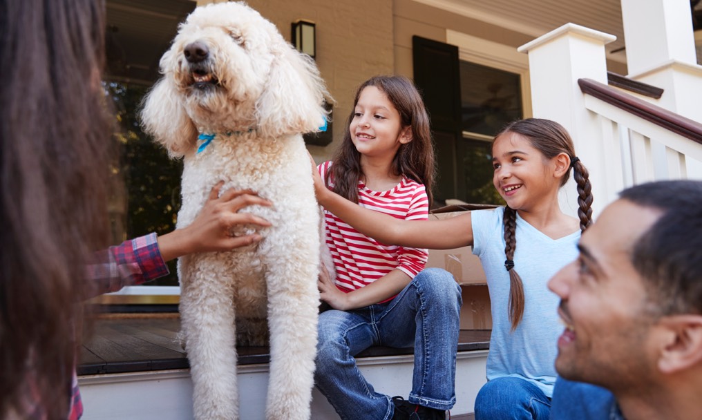 family-with-dog-sitting-on-steps-of-new-home-on-PPM6Y24